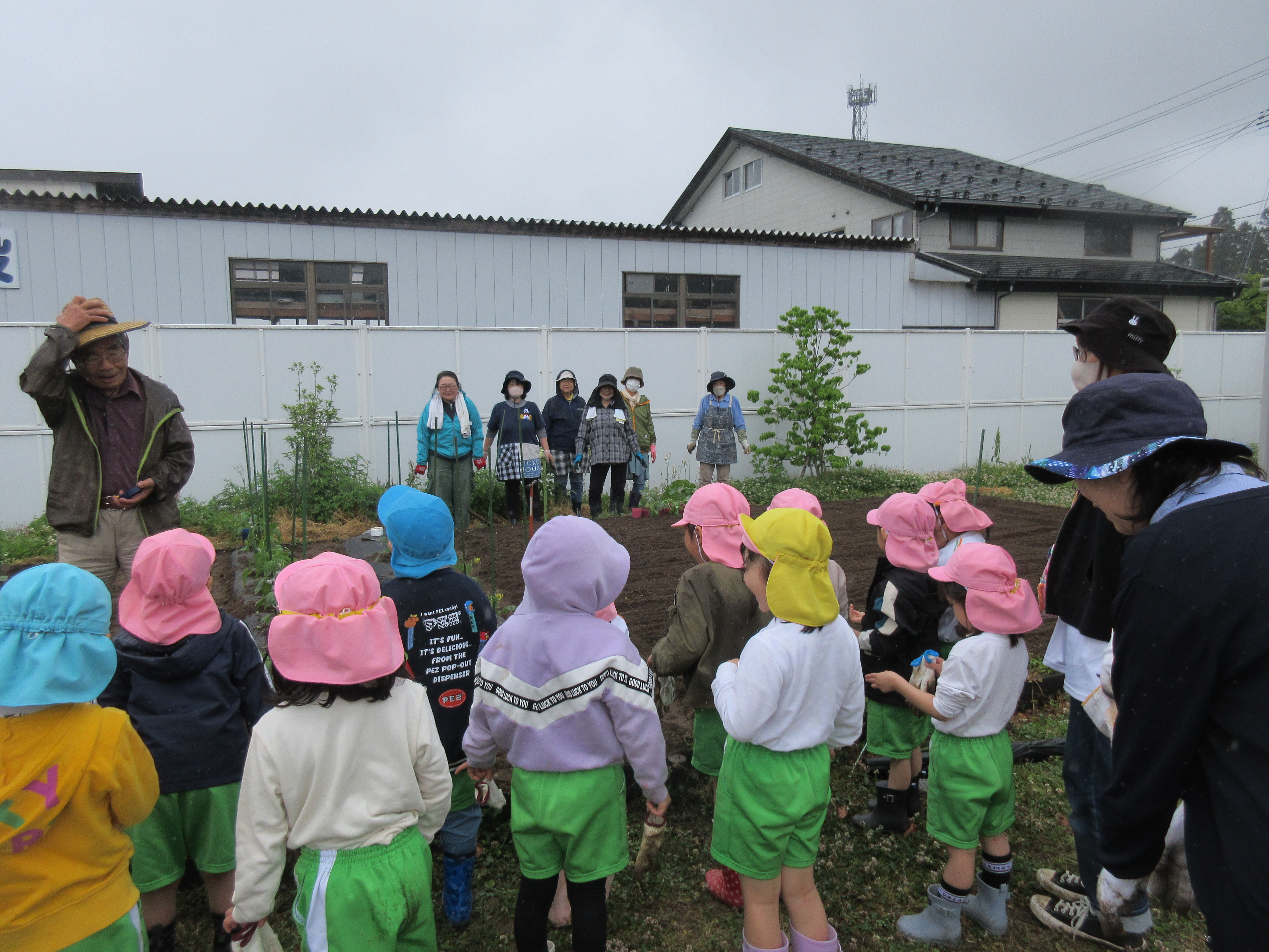 苗の植え方を教えてもらいました！