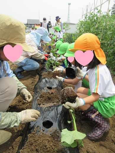 苗の持ち方や植え方を教えてもらいました♪
