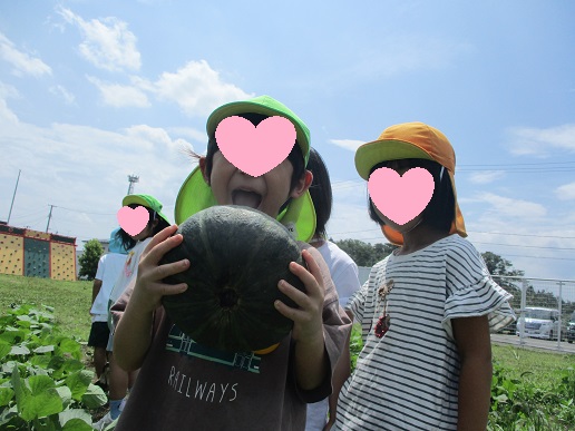 かぼちゃ早く食べたーい♪