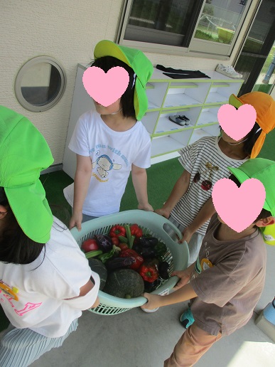 たくさんの野菜を使って、おいしいカレーを作ろう♪