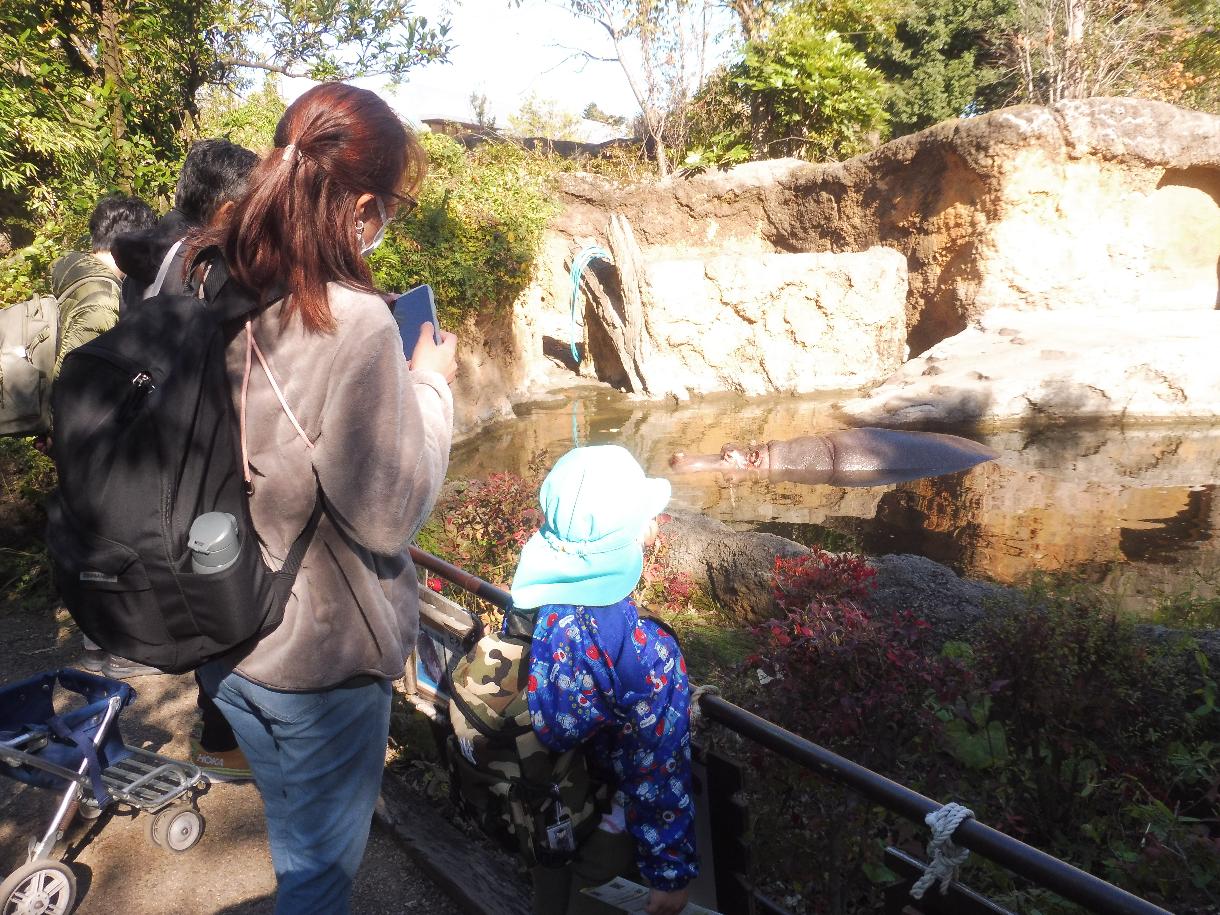 カバさん、でてきたね！