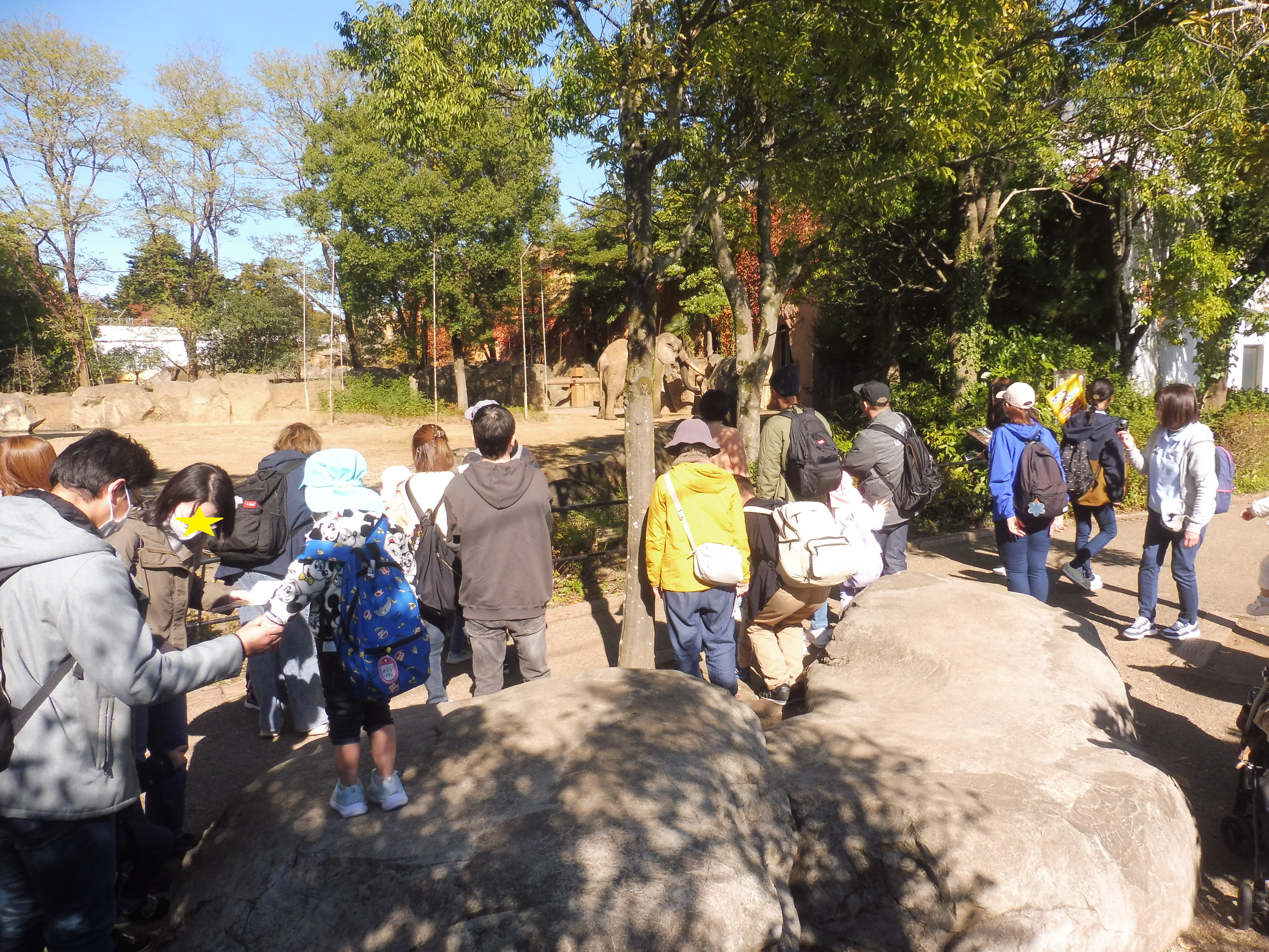 ぞうさん、おっきいね～