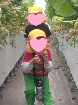 大きいいちご発見！！