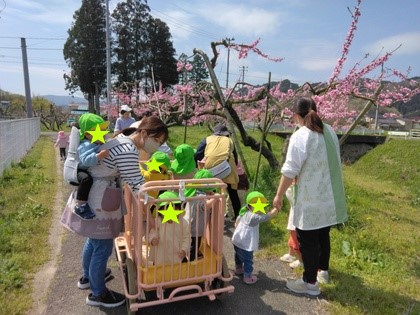 春のお散歩「桃の花、み～つけた」