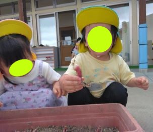 にじ組栽培の「はつか大根」を収穫して嬉しかったね。